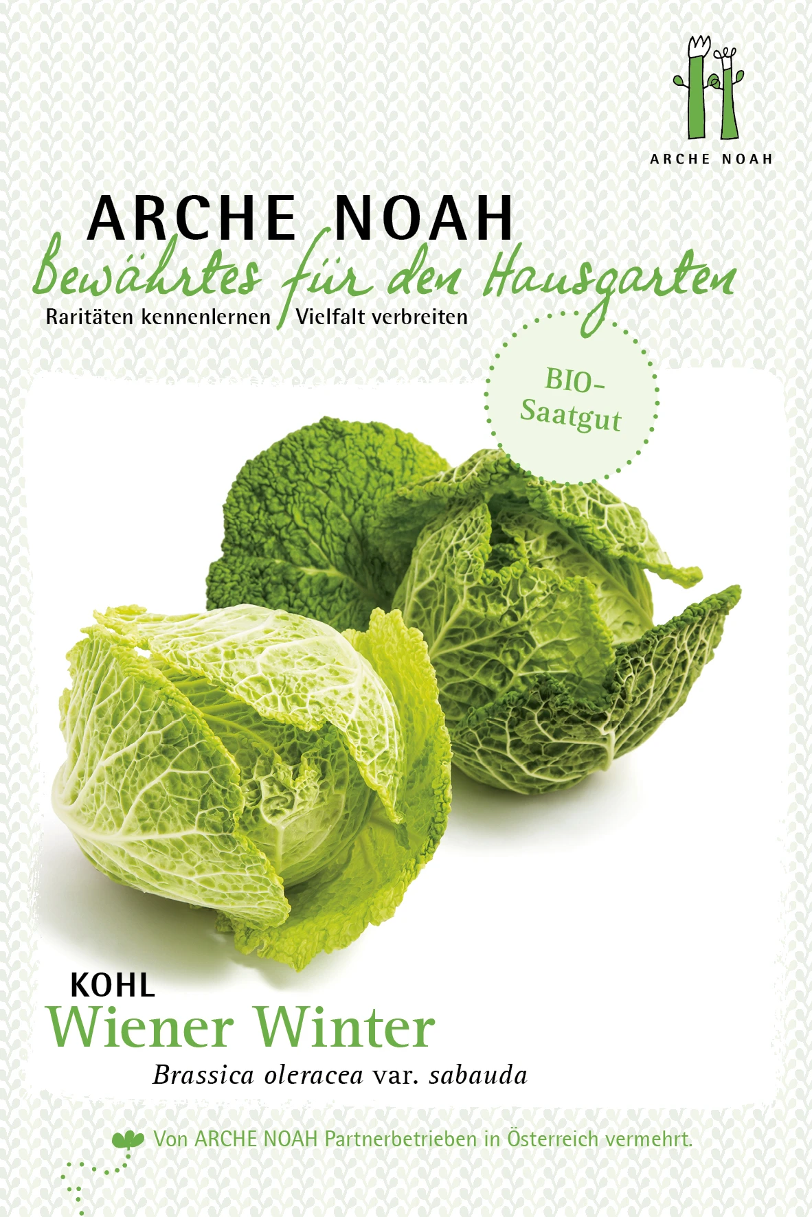 Kohl Wiener Winter | BIO Kohlsamen Von Arche Noah 1 Kohl Wiener Winter | BIO Kohlsamen Von Arche Noah