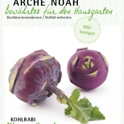 Kohlrabi Blauer Speck | BIO Kohlrabisamen Von Arche Noah