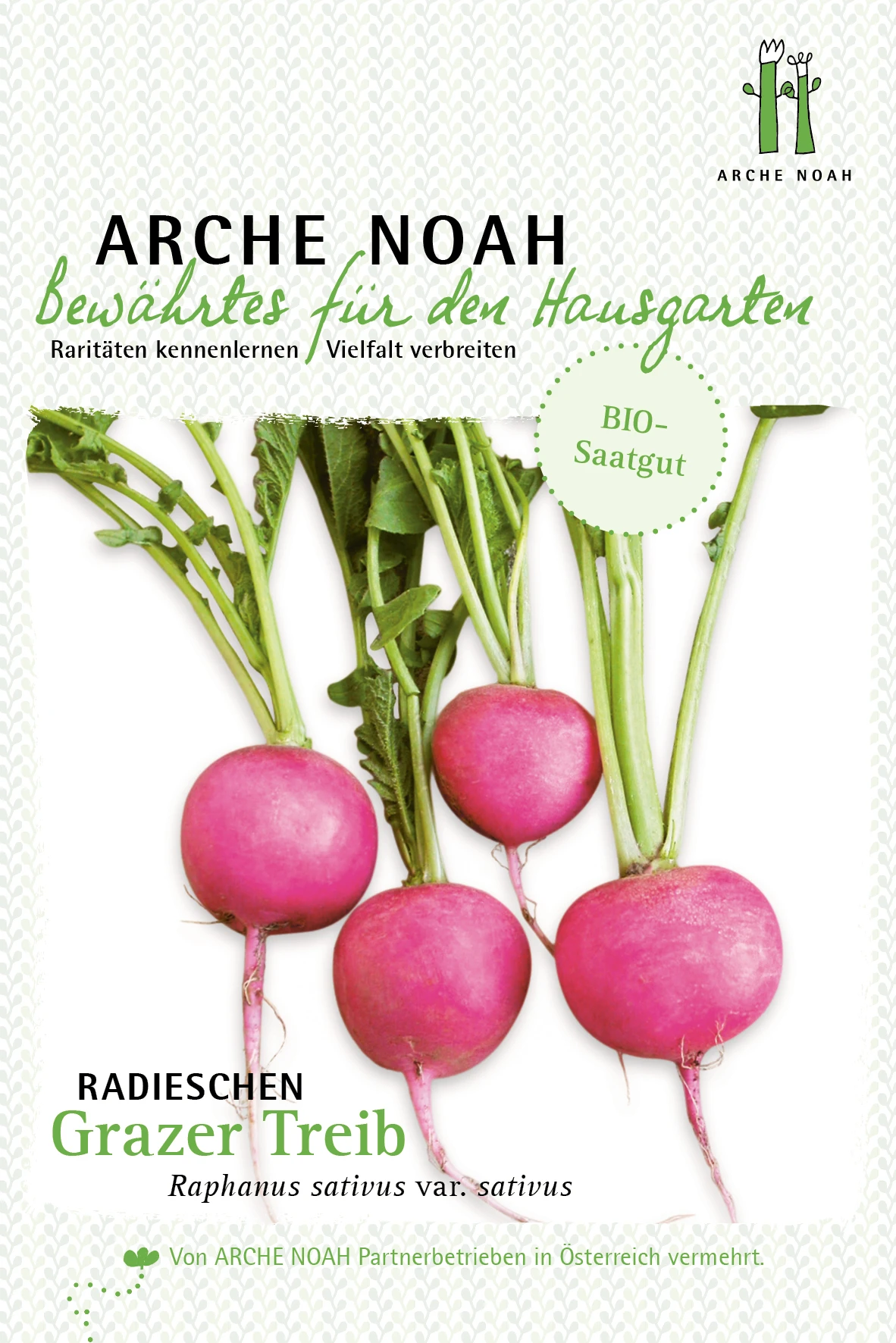 Radieschen Grazer Treib | BIO Radieschensamen Von Arche Noah 1 Radieschen Grazer Treib | BIO Radieschensamen Von Arche Noah
