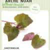 Rote Gartenmelde Opera | BIO Gartenmeldesamen Von Arche Noah