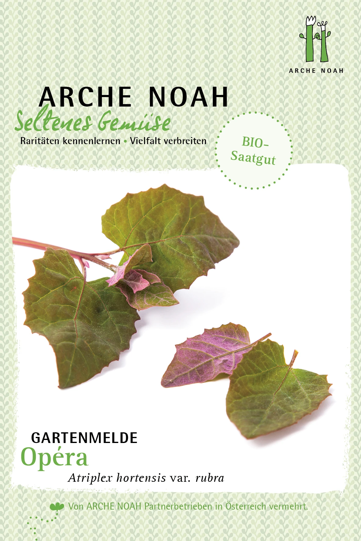 Rote Gartenmelde Opera | BIO Gartenmeldesamen Von Arche Noah 1 Rote Gartenmelde Opera | BIO Gartenmeldesamen Von Arche Noah