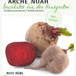 Rote Rübe Bernstein | BIO Rübensamen Von Arche Noah