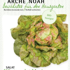 Salat Wintermarie | BIO Salatsamen Von Arche Noah