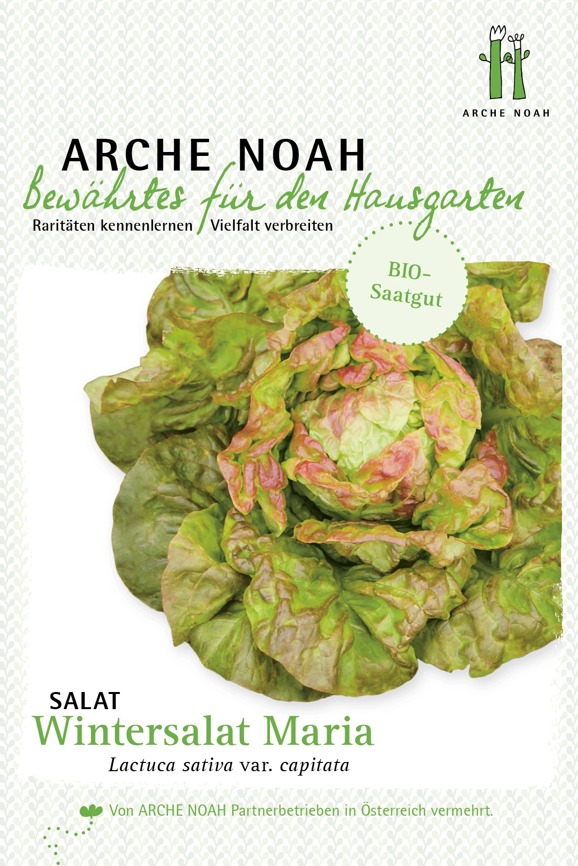 Salat Wintermarie | BIO Salatsamen Von Arche Noah 1 Salat Wintermarie | BIO Salatsamen Von Arche Noah