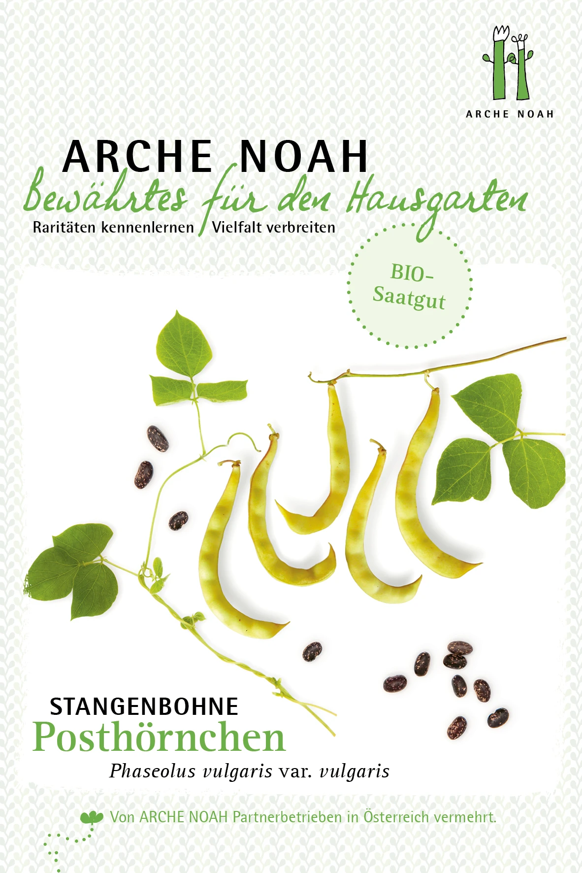 Stangenbohne Posthörnchen | BIO Stangenbohnesamen Von Arche Noah 1 Stangenbohne Posthörnchen | BIO Stangenbohnesamen Von Arche Noah