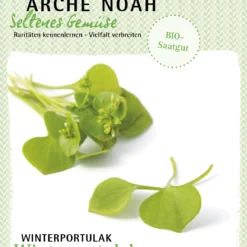 Winterportulak | BIO Portulaksamen Von Arche Noah