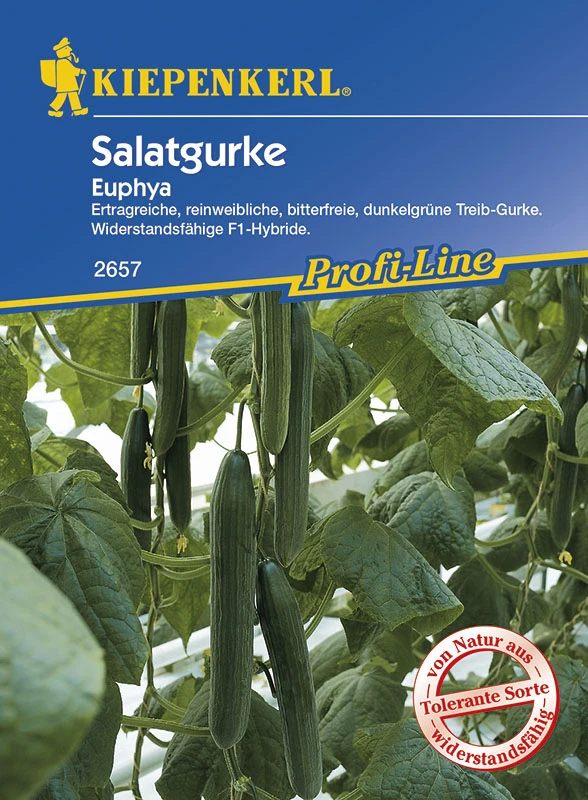 Salatgurke Euphya F1 | Salatgurkensamen Von Kiepenkerl 1 Salatgurke Euphya F1 | Salatgurkensamen Von Kiepenkerl