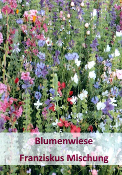 Franziskus Mischung (100 G) | Insektenwiese Von Küpper 1 Franziskus Mischung (100 G) | Insektenwiese Von Küpper