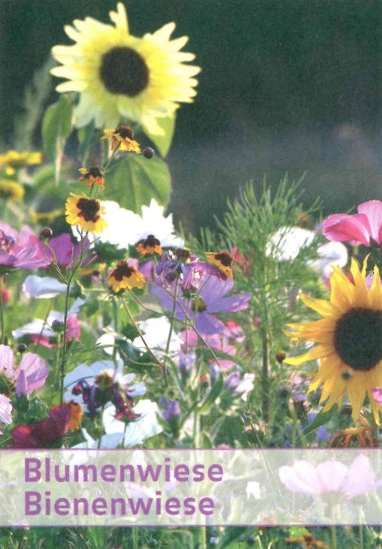Bienenwiese (1 Kg) | Blumenwiese Von Küpper 1 Bienenwiese (1 Kg) | Blumenwiese Von Küpper
