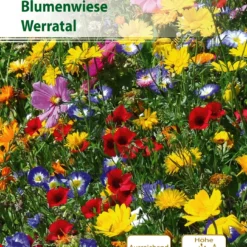 Blumenwiese Werratal 5 M² | Blumenmischung Von Küpper