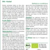 Kerbel | BIO Kerbelsamen Von Saflax