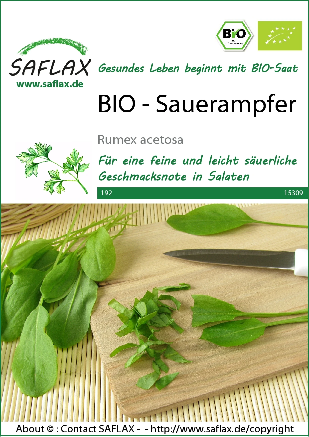 Sauerampfer | BIO Sauerampfersamen Von Saflax 2 Sauerampfer | BIO Sauerampfersamen Von Saflax – Bild 2