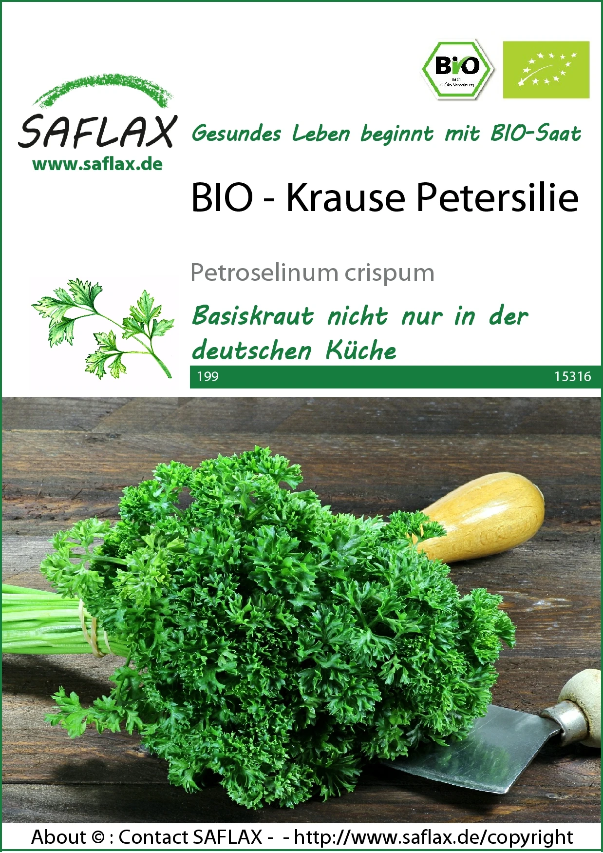 Petersilie Krause | BIO Petersiliensamen Von Saflax 1 Petersilie Krause | BIO Petersiliensamen Von Saflax