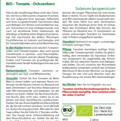 Tomate Ochsenherz | BIO Tomatensamen Von Saflax