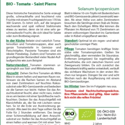 Tomate Saint Pierre | BIO Tomatensamen Von Saflax