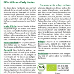 Möhre Early Nantes | BIO Möhrensamen Von Saflax