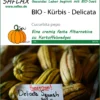 Kürbis Delicata | BIO Kürbissamen Von Saflax