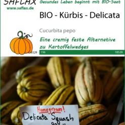 Kürbis Delicata | BIO Kürbissamen Von Saflax