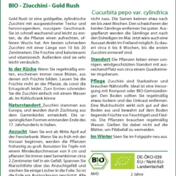 Zucchini Gold Rush | BIO Zucchinisamen Von Saflax