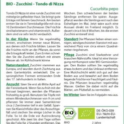 Zucchini Tondo Di Nizza | BIO Zucchinisamen Von Saflax