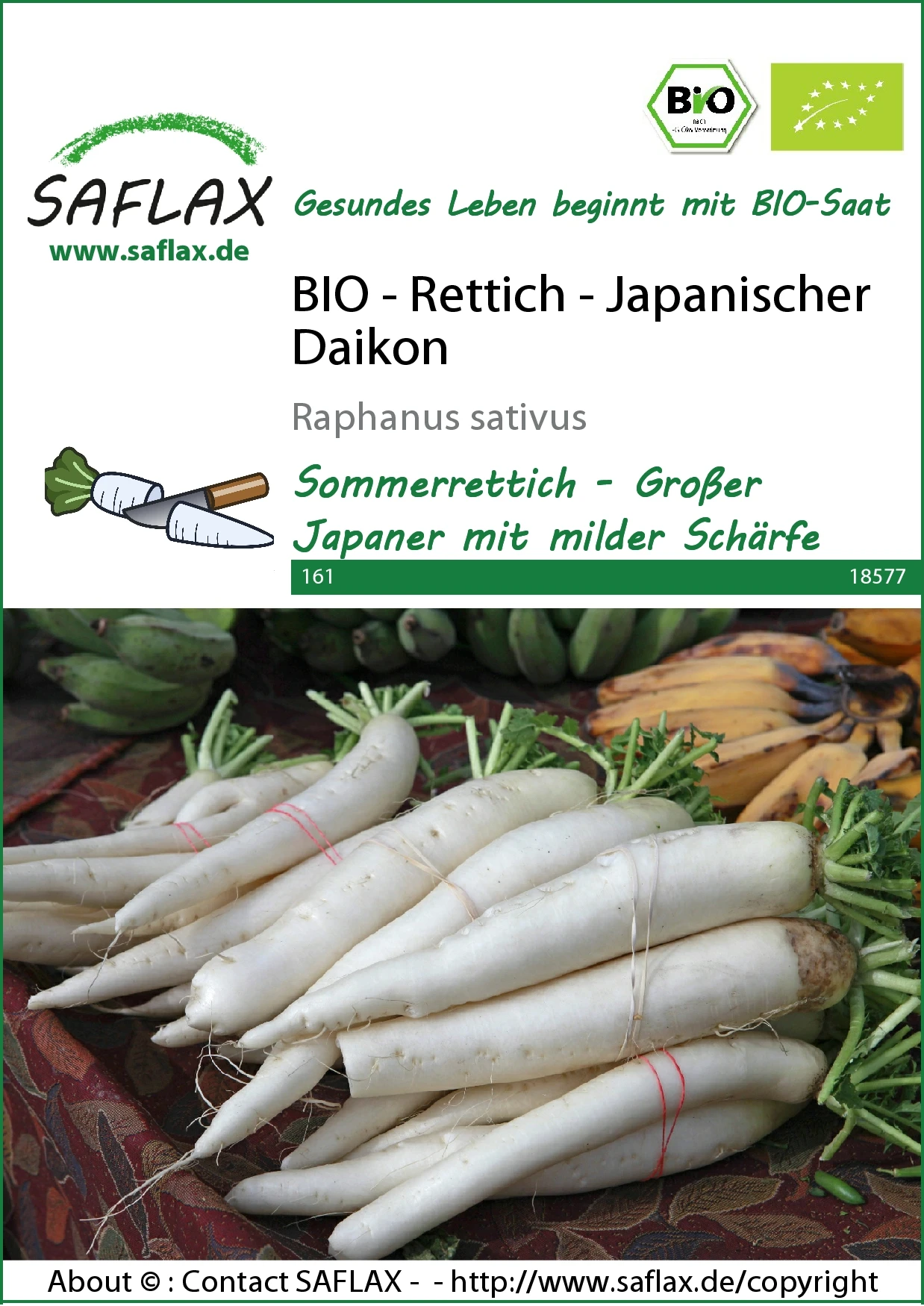 Rettich Japanischer Daikon | BIO Rettichsamen Von Saflax 1 Rettich Japanischer Daikon | BIO Rettichsamen Von Saflax