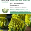Blumenkohl Romanesco | BIO Blumenkohlsamen Von Saflax