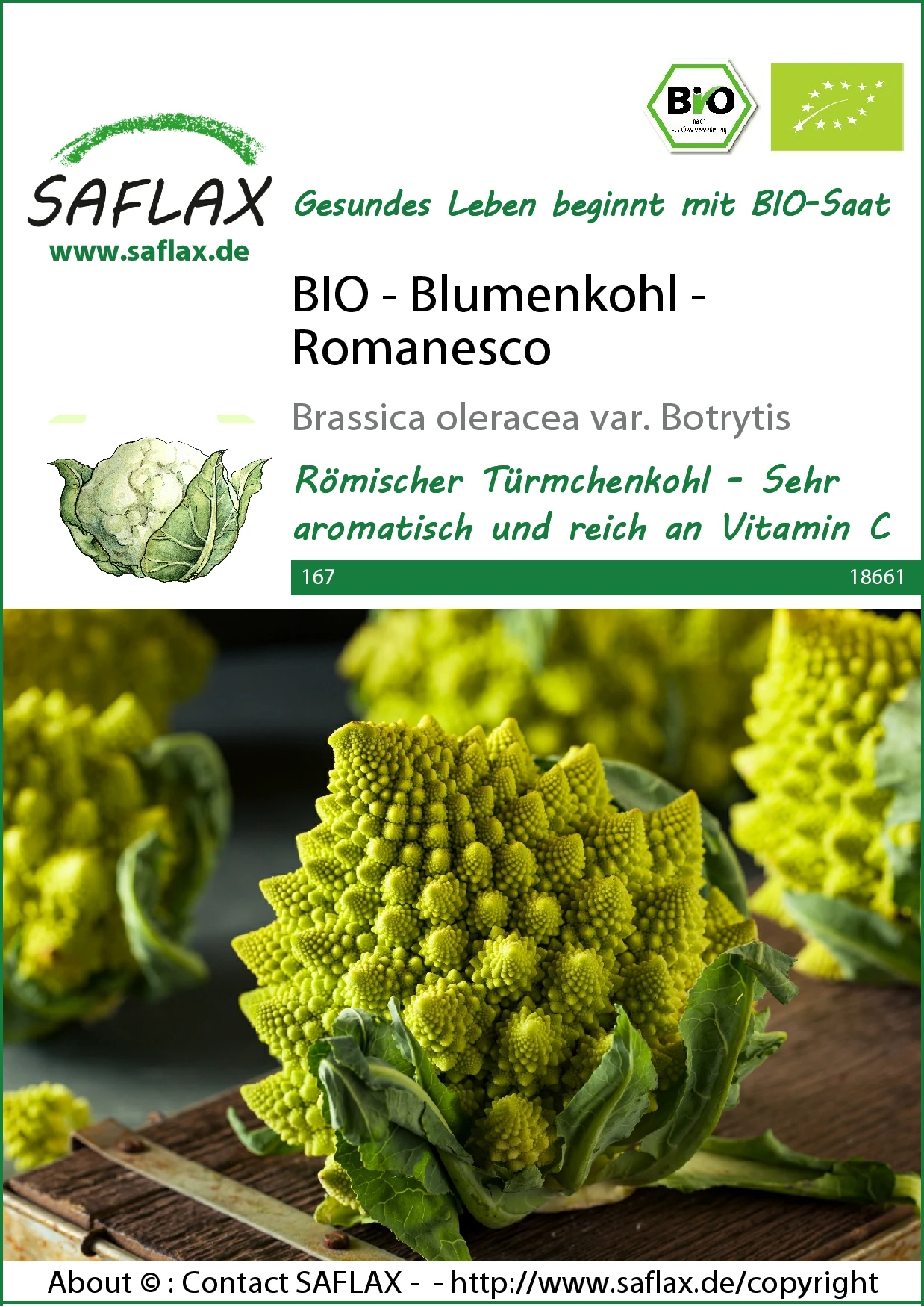 Blumenkohl Romanesco | BIO Blumenkohlsamen Von Saflax 1 Blumenkohl Romanesco | BIO Blumenkohlsamen Von Saflax