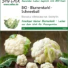 Blumenkohl Schneeball | BIO Blumenkohlsamen Von Saflax