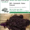 Grünkohl Roter Krauser | BIO Grünkohlsamen Von Saflax