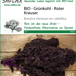 Grünkohl Roter Krauser | BIO Grünkohlsamen Von Saflax