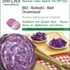 Rotkohl Red Drumhead | BIO Rotkohlsamen Von Saflax