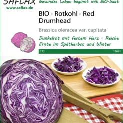 Rotkohl Red Drumhead | BIO Rotkohlsamen Von Saflax