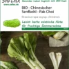 Chinesischer Senfkohl Pak Choi | Pak Choisamen Von Saflax