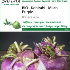 Kohlrabi Milan Purple | BIO Kohlrabisamen Von Saflax