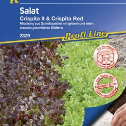 Salat Crispita II Und Crispita Red (Saatteppich) | Salatsamen Von Kiepenkerl 3 Salat Crispita II Und Crispita Red (Saatteppich) | Salatsamen Von Kiepenkerl -Angebote Pflanzen Glanz Store 540150 Salat Crispita II und Crispita Red Saatteppich