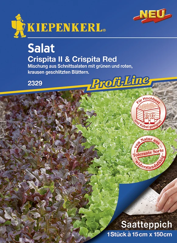 Salat Crispita II Und Crispita Red (Saatteppich) | Salatsamen Von Kiepenkerl 2 Salat Crispita II Und Crispita Red (Saatteppich) | Salatsamen Von Kiepenkerl – Bild 2
