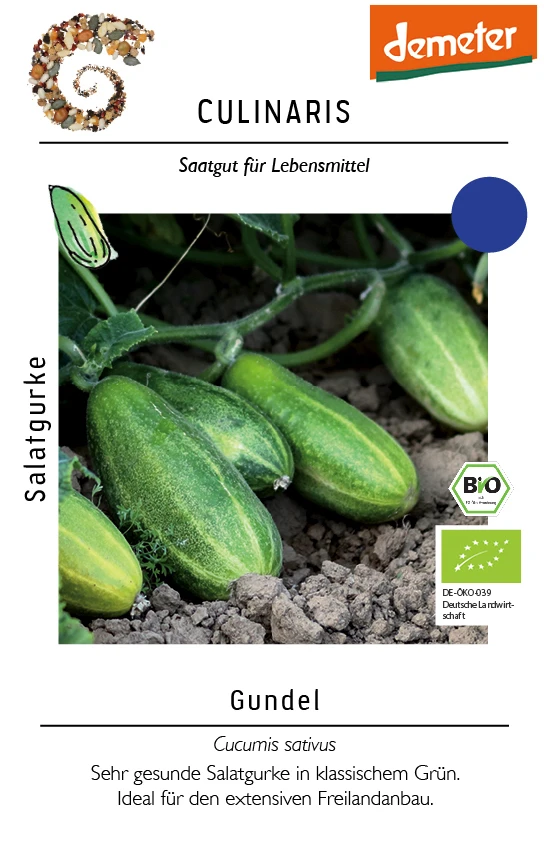 Salatgurke Gundel (GU-7632) | BIO Salatgurkensamen Von Culinaris 1 Salatgurke Gundel (GU-7632) | BIO Salatgurkensamen Von Culinaris