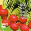 Radies Rudi (Saatband) | BIO Radieschensamen Von Reinsaat