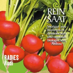 Radies Rudi (Saatband) | BIO Radieschensamen Von Reinsaat