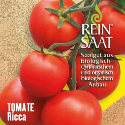Tomate Ricca | BIO Tomatensamen Von Reinsaat