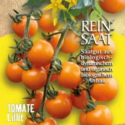 Tomate Lillit | BIO Tomatensamen Von Reinsaat