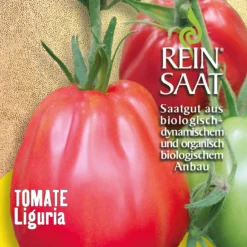 Tomate Liguria | BIO Fleischtomatensamen Von Reinsaat