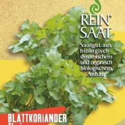 Blattkoriander Thai | BIO Koriandersamen Von Reinsaat