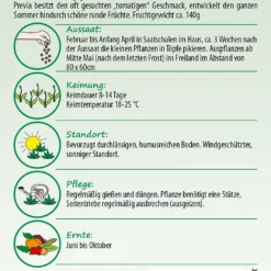 Tomate Previa F1-Hybride | Tomatensamen Von Samen Pfann