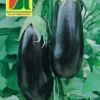 Aubergine Teti F1 | Auberginensamen Von Austrosaat
