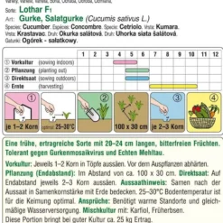 Gurke Lothar F1 | Gurkensamen Von Austrosaat -Angebote Pflanzen Glanz Store 543063 Gurke Lothar F1 1