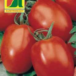 Tomate Festas F1 | Tomatensamen Von Austrosaat 3 Tomate Festas F1 | Tomatensamen Von Austrosaat -Angebote Pflanzen Glanz Store 543076 Tomate Festas F1