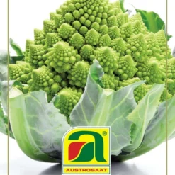Karfiol White Gold F1 (Romanesco) | Romanescosamen Von Austrosaat