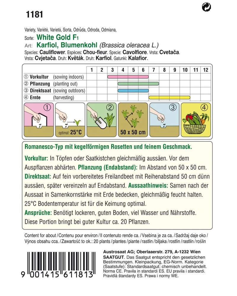Karfiol White Gold F1 (Romanesco) | Romanescosamen Von Austrosaat 2 Karfiol White Gold F1 (Romanesco) | Romanescosamen Von Austrosaat – Bild 2