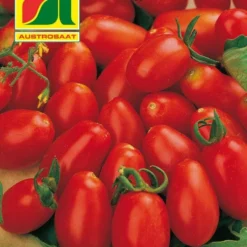 Pflaumentomate Valido F1 | Pflaumentomatensamen Von Austrosaat 3 Pflaumentomate Valido F1 | Pflaumentomatensamen Von Austrosaat -Angebote Pflanzen Glanz Store 543099 Pflaumentomate Valido F1